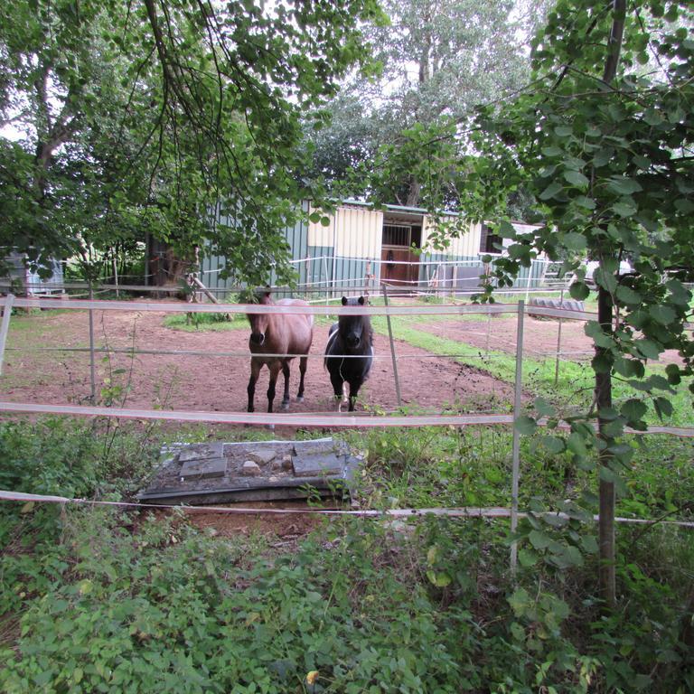 Ferienwohnung "Eifelstueffje" Мехерних Стая снимка